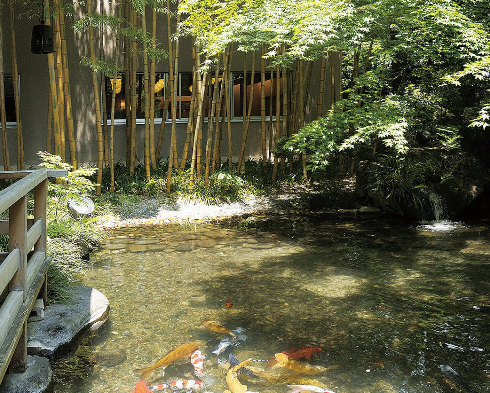 画像：水明館　小宴廊下横（池）
